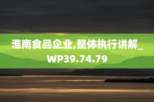 淮南食品企业,整体执行讲解_WP39.74.79