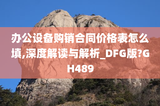 办公设备购销合同价格表怎么填,深度解读与解析_DFG版?GH489