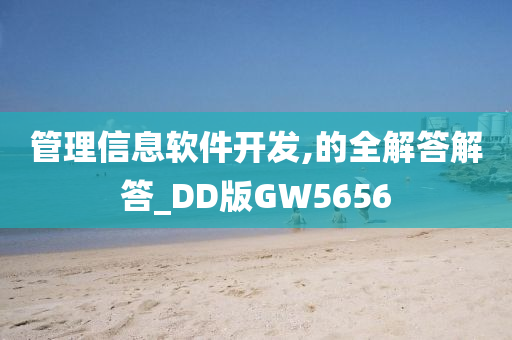 管理信息软件开发,的全解答解答_DD版GW5656