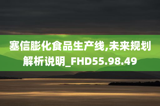 塞信膨化食品生产线,未来规划解析说明_FHD55.98.49