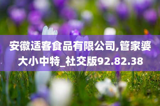 安徽适客食品有限公司,管家婆大小中特_社交版92.82.38