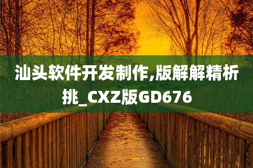 汕头软件开发制作,版解解精析挑_CXZ版GD676