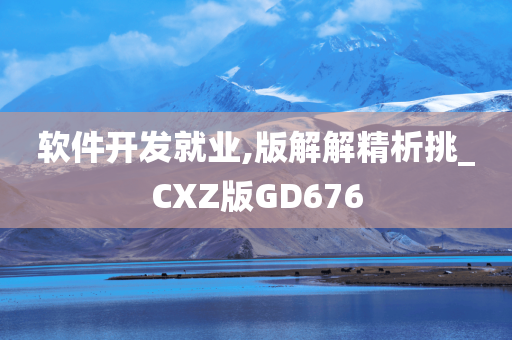 软件开发就业,版解解精析挑_CXZ版GD676