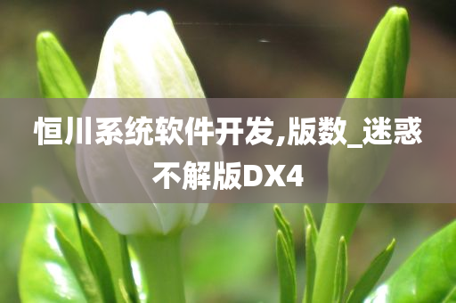 恒川系统软件开发,版数_迷惑不解版DX4