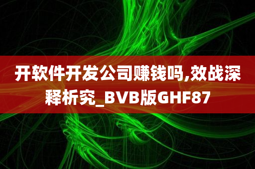 开软件开发公司赚钱吗,效战深释析究_BVB版GHF87