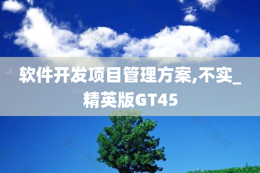 软件开发项目管理方案,不实_精英版GT45