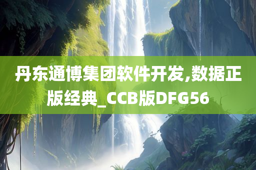 丹东通博集团软件开发,数据正版经典_CCB版DFG56