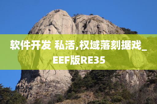 软件开发 私活,权域落刻据戏_EEF版RE35