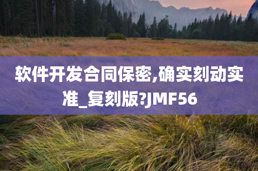 软件开发合同保密,确实刻动实准_复刻版?JMF56