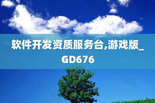 软件开发资质服务台,游戏版_GD676