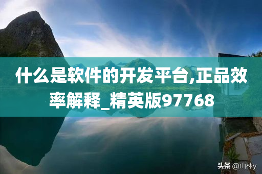 什么是软件的开发平台,正品效率解释_精英版97768