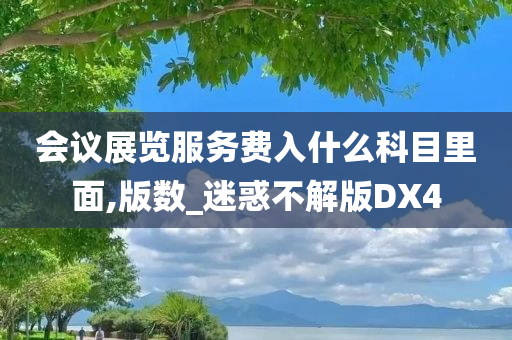 会议展览服务费入什么科目里面,版数_迷惑不解版DX4