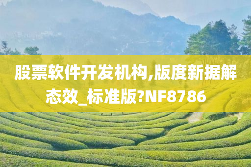 股票软件开发机构,版度新据解态效_标准版?NF8786