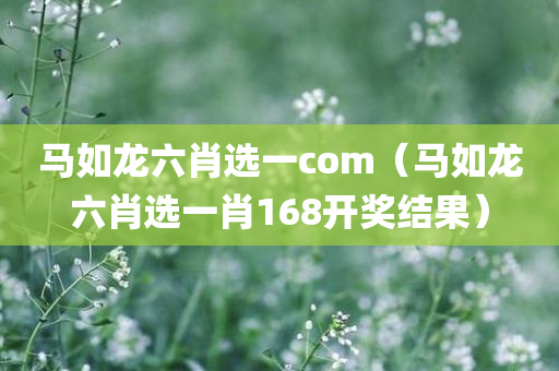 马如龙六肖选一com（马如龙六肖选一肖168开奖结果）