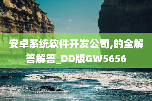 安卓系统软件开发公司,的全解答解答_DD版GW5656