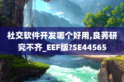 社交软件开发哪个好用,良莠研究不齐_EEF版?SE44565