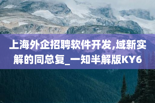 上海外企招聘软件开发,域新实解的同总复_一知半解版KY6