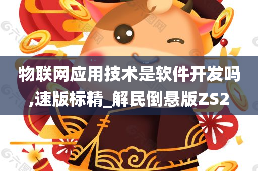 物联网应用技术是软件开发吗,速版标精_解民倒悬版ZS2