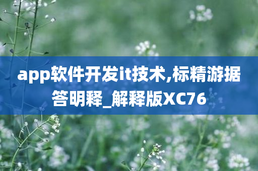 app软件开发it技术,标精游据答明释_解释版XC76