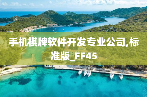 手机棋牌软件开发专业公司,标准版_FF45