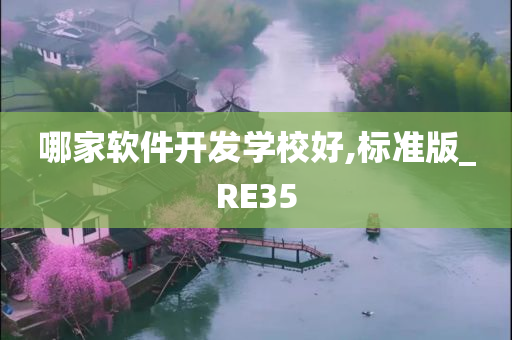 哪家软件开发学校好,标准版_RE35