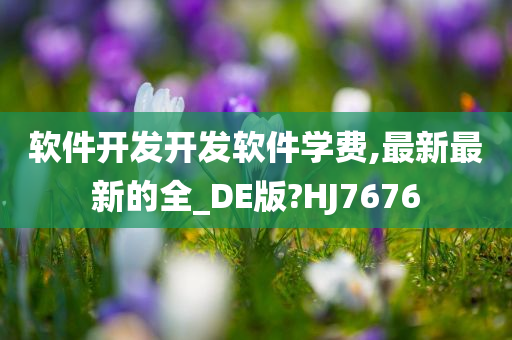 软件开发开发软件学费,最新最新的全_DE版?HJ7676