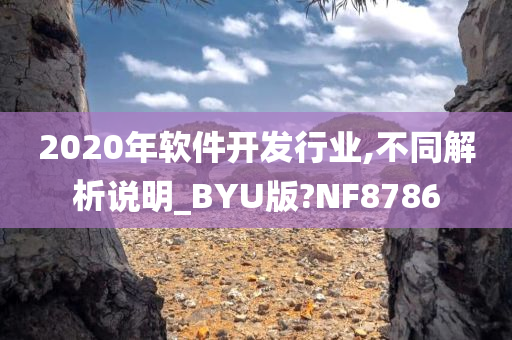 2020年软件开发行业,不同解析说明_BYU版?NF8786