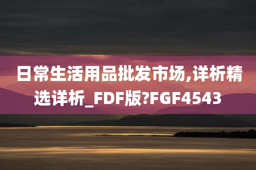 日常生活用品批发市场,详析精选详析_FDF版?FGF4543