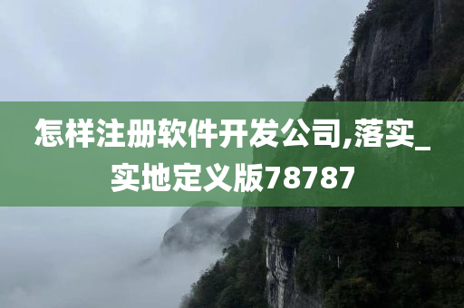 怎样注册软件开发公司,落实_实地定义版78787