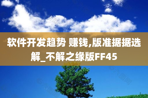 软件开发趋势 赚钱,版准据据选解_不解之缘版FF45