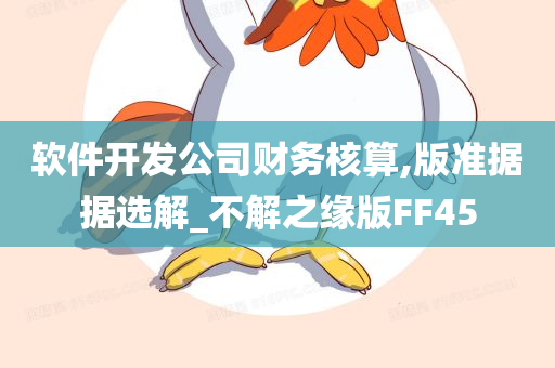 软件开发公司财务核算,版准据据选解_不解之缘版FF45