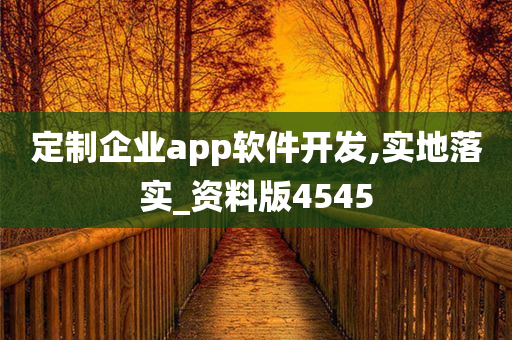 定制企业app软件开发,实地落实_资料版4545