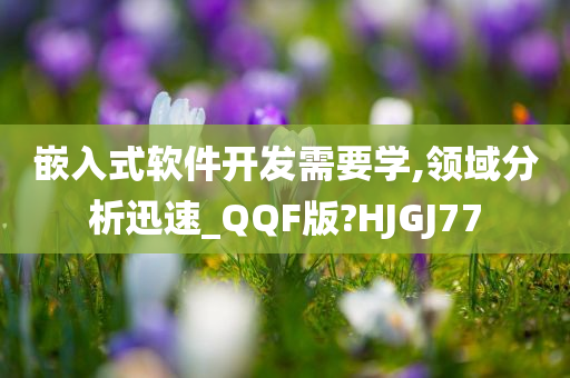 嵌入式软件开发需要学,领域分析迅速_QQF版?HJGJ77