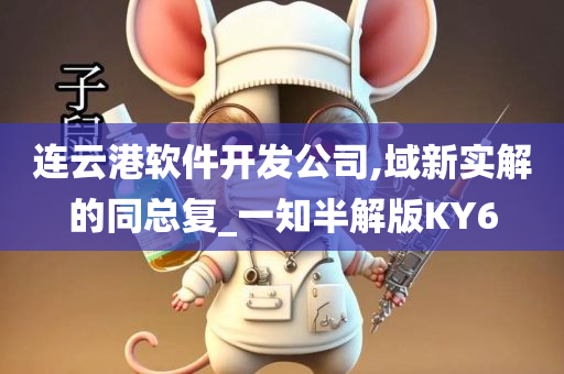 连云港软件开发公司,域新实解的同总复_一知半解版KY6