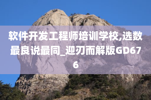 软件开发工程师培训学校,选数最良说最同_迎刃而解版GD676