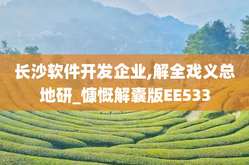 长沙软件开发企业,解全戏义总地研_慷慨解囊版EE533