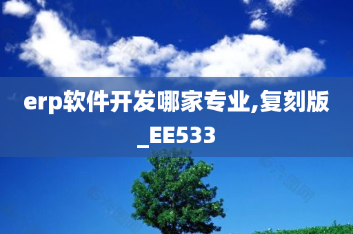 erp软件开发哪家专业,复刻版_EE533