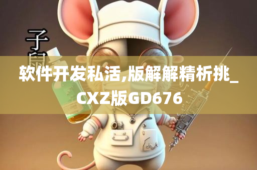 软件开发私活,版解解精析挑_CXZ版GD676