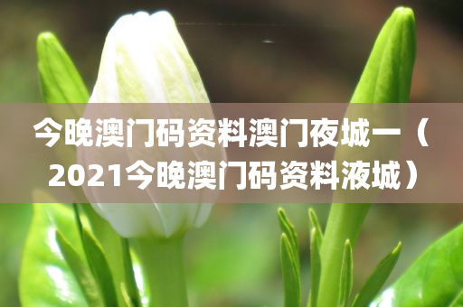 今晚澳门码资料澳门夜城一（2021今晚澳门码资料液城）