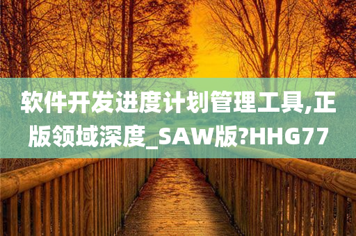 软件开发进度计划管理工具,正版领域深度_SAW版?HHG77