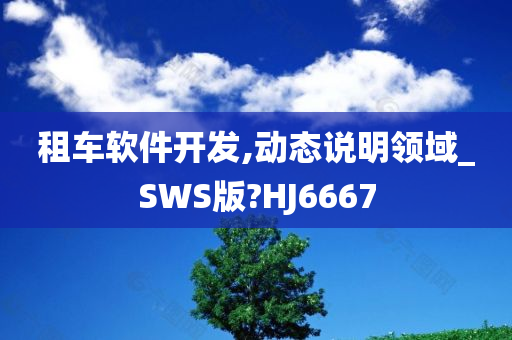 租车软件开发,动态说明领域_SWS版?HJ6667