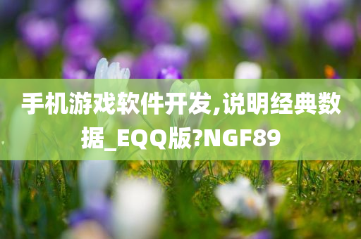 手机游戏软件开发,说明经典数据_EQQ版?NGF89