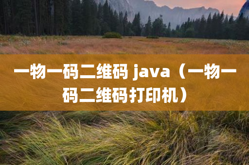 一物一码二维码 java（一物一码二维码打印机）