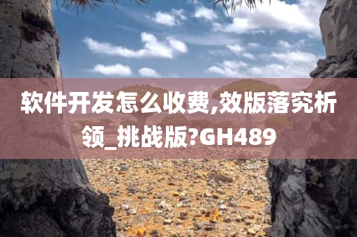 软件开发怎么收费,效版落究析领_挑战版?GH489