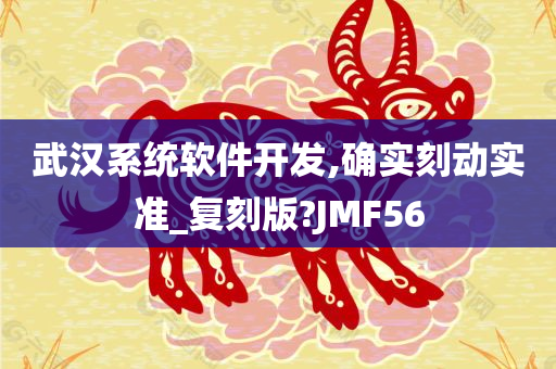 武汉系统软件开发,确实刻动实准_复刻版?JMF56