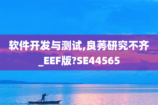 软件开发与测试,良莠研究不齐_EEF版?SE44565