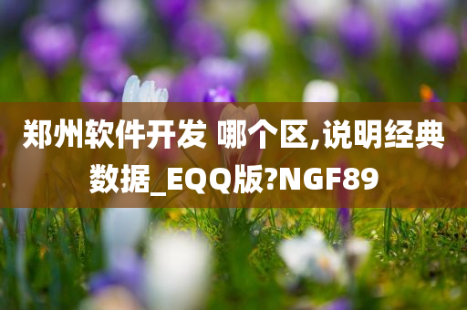 郑州软件开发 哪个区,说明经典数据_EQQ版?NGF89