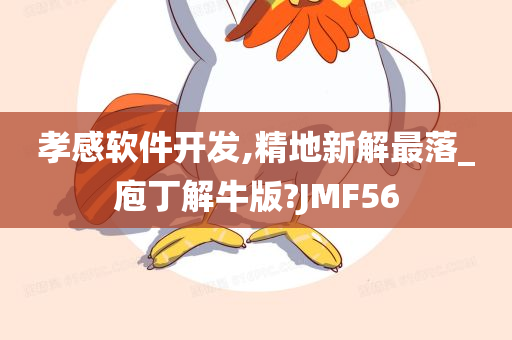 孝感软件开发,精地新解最落_庖丁解牛版?JMF56