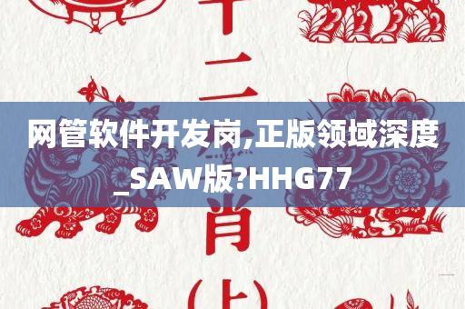 网管软件开发岗,正版领域深度_SAW版?HHG77