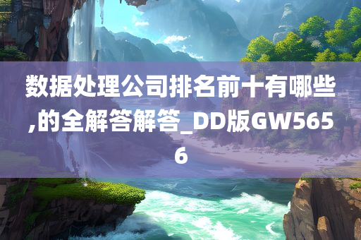 数据处理公司排名前十有哪些,的全解答解答_DD版GW5656